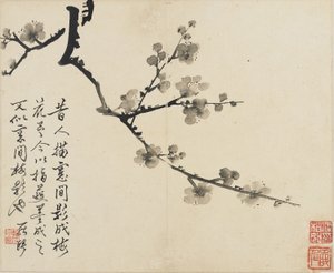 Landscapes, Flowers and Birds: Plum, Qing Dynasty